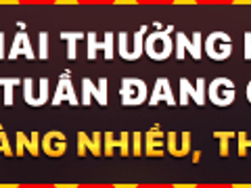 Giấy phép hoạt động hợp pháp