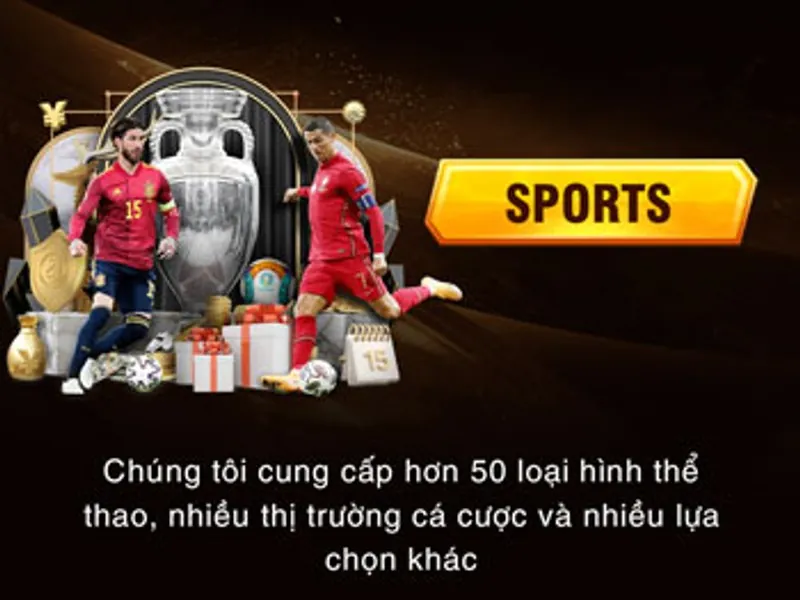 Cá cược thể thao New88